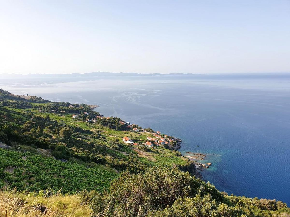 Apartments Villa Bella Vista Gornji Dingač Eksteriør billede