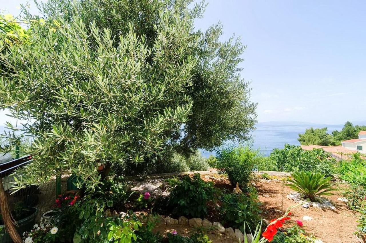 Apartments Villa Bella Vista Gornji Dingač Eksteriør billede